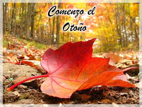 Llego-el-Otono.jpg15