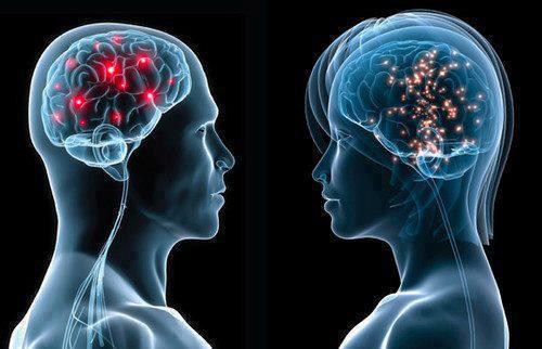 cerebro-masculino-y-femenino
